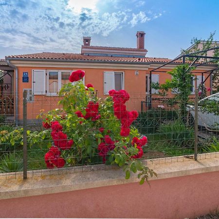 Apartman Arijana 3 Μεντουλίν Εξωτερικό φωτογραφία