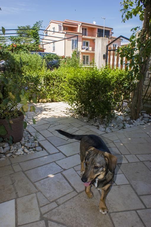 Apartman Arijana 3 Μεντουλίν Εξωτερικό φωτογραφία